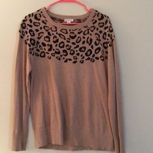 Brown Merona sweater